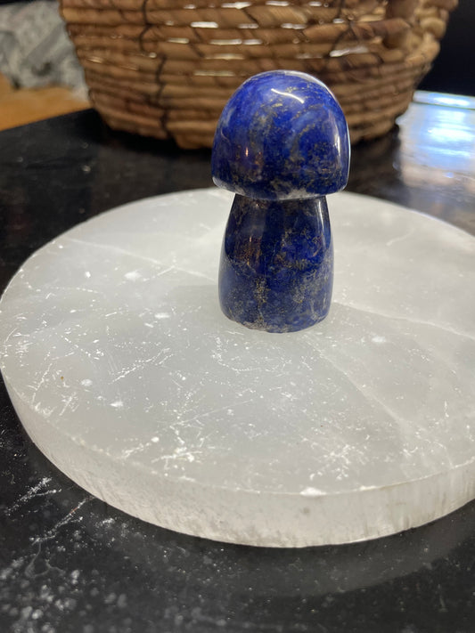 Lapis Lazuli Mushroom